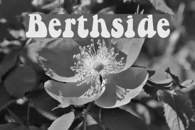 Berthside フォント examples