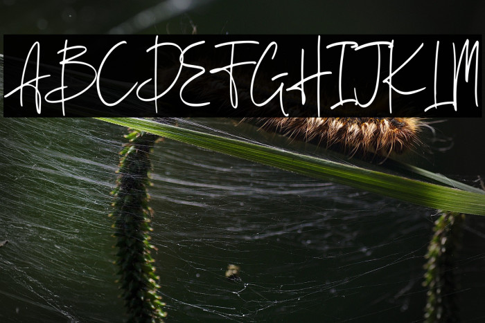 Berthusen Demo Example 2