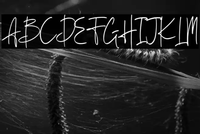 Berthusen Demo Font examples