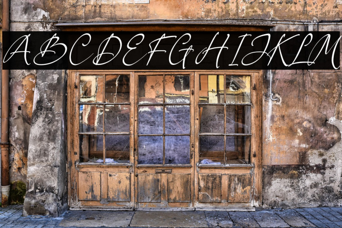 Berthylda Wilonalis Example 1