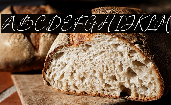 Berthylda Wilonalis Example 2