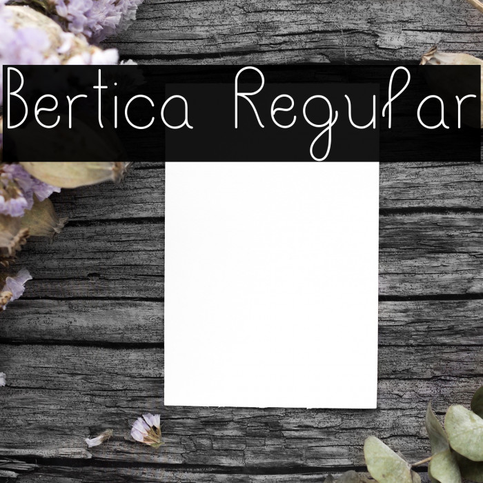 Bertica Regular Font examples