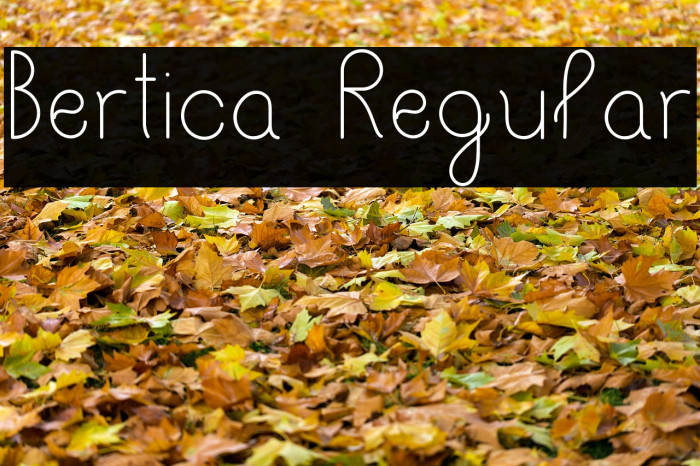 Bertica Regular Font examples