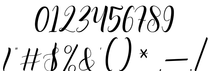 Bertiga Font OTHER CHARS