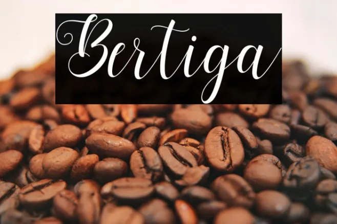 Bertiga Example 1