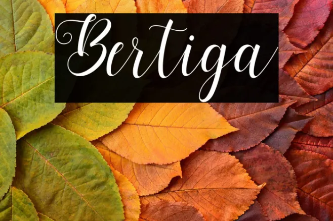 Bertiga Example 2