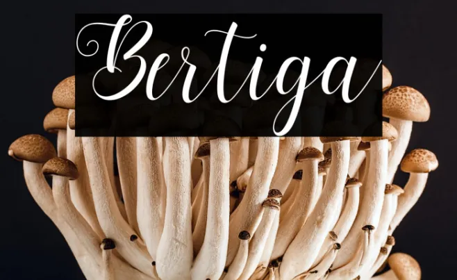 Bertiga Example 3