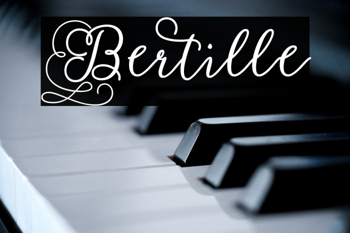 Bertille Example 2