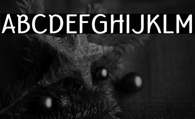 Bertina Font examples