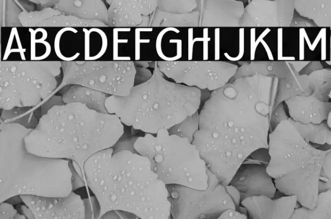 Bertina Font examples