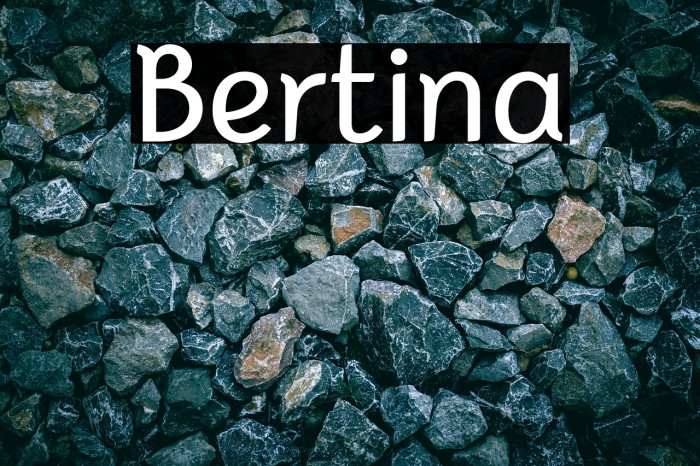Bertina Example 1