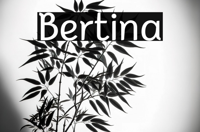 Bertina Example 2
