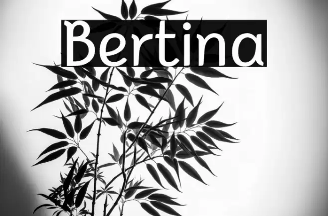 Bertina Font examples