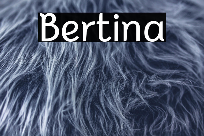 Bertina Example 3