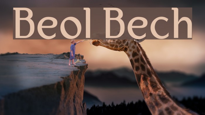 Bertolt Brecht Font examples