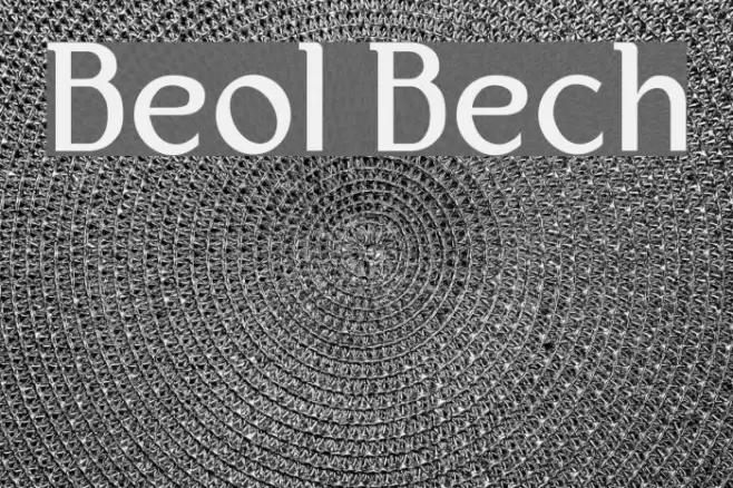 Bertolt Brecht Font examples