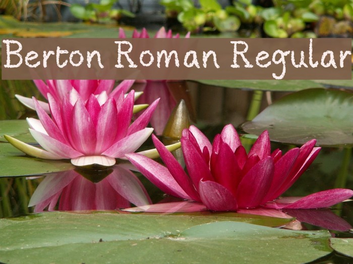 Berton Roman Regular Font examples