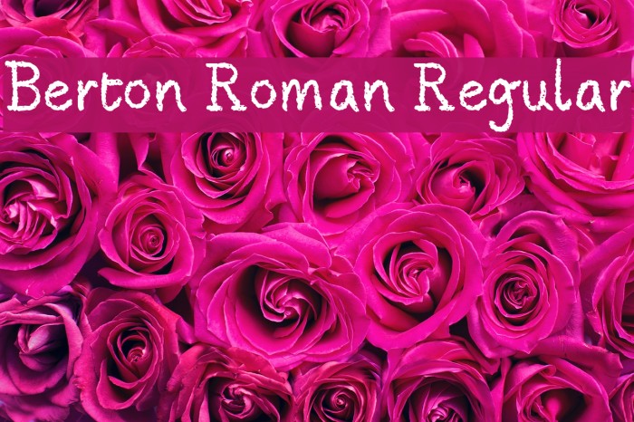 Berton Roman Regular Font examples