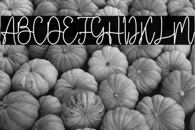 Bertrade Font examples