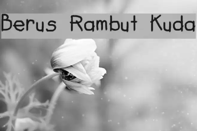 Berus Rambut Kuda Font examples
