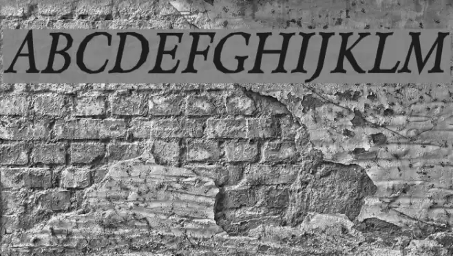 Berylium Bold Italic Font examples