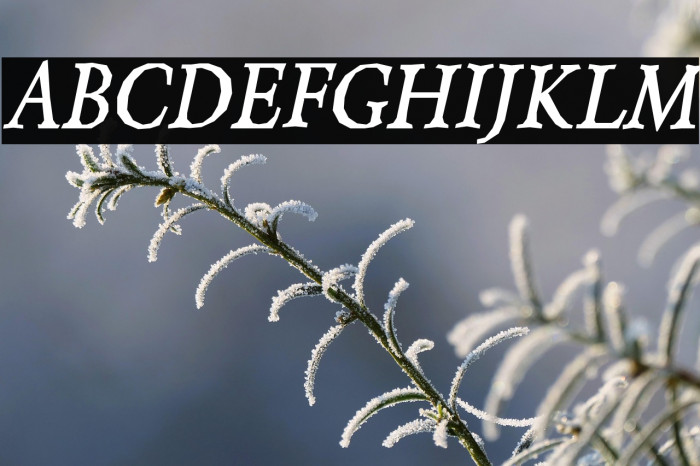 Berylium-BoldItalic Example 3