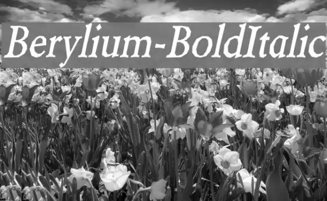 Berylium-BoldItalic Font examples