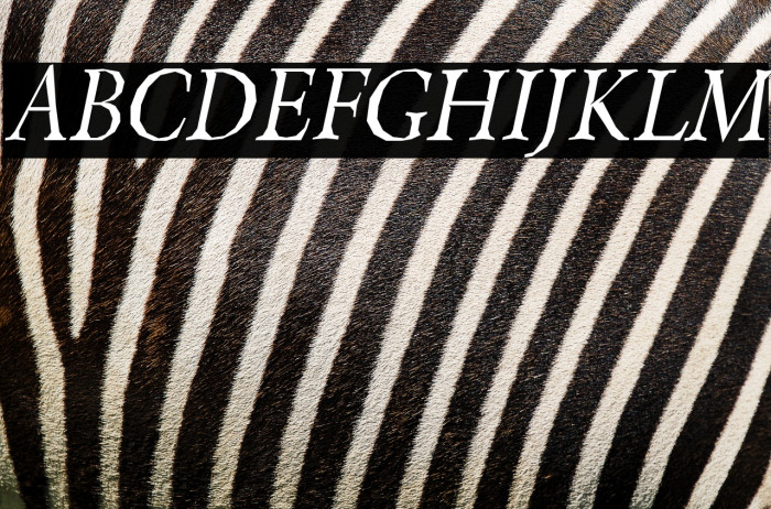 Berylium-Italic Example 2