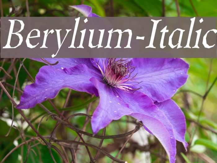 Berylium-Italic Polices examples
