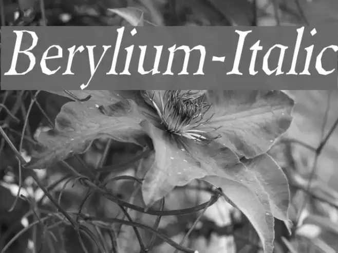 Berylium-Italic フォント examples