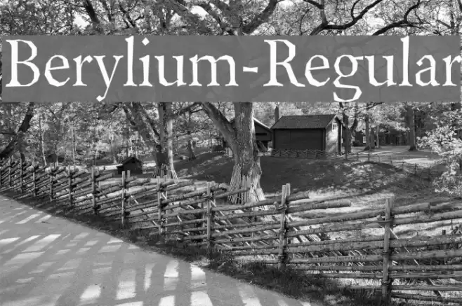 Berylium-Regular Font examples