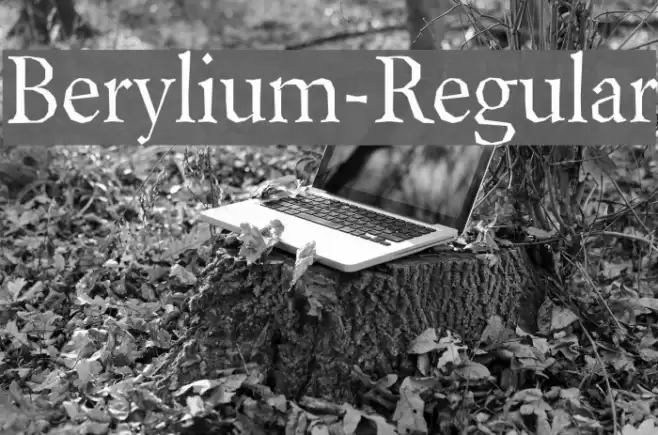 Berylium-Regular Font examples