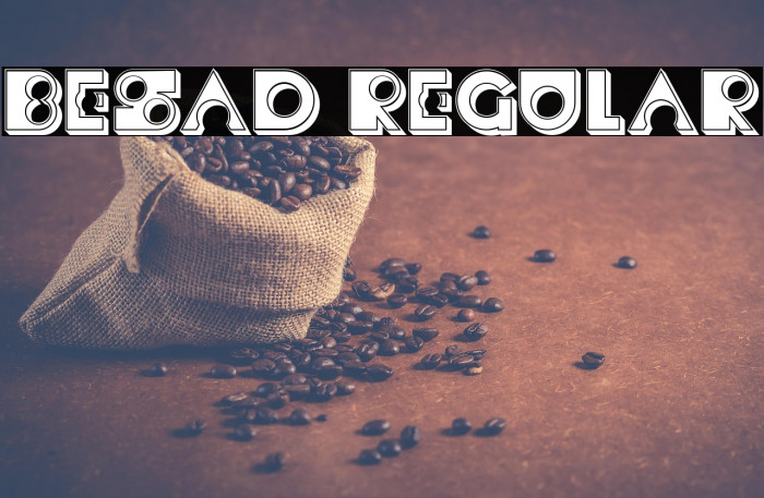 Besad Regular Example 1