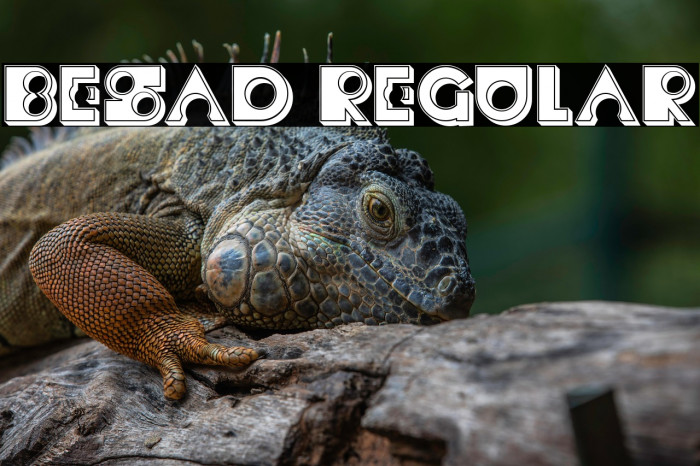 Besad Regular Example 2