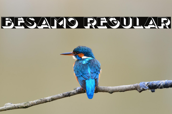 Besamo Regular Example 2