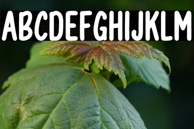 Besans Example 2