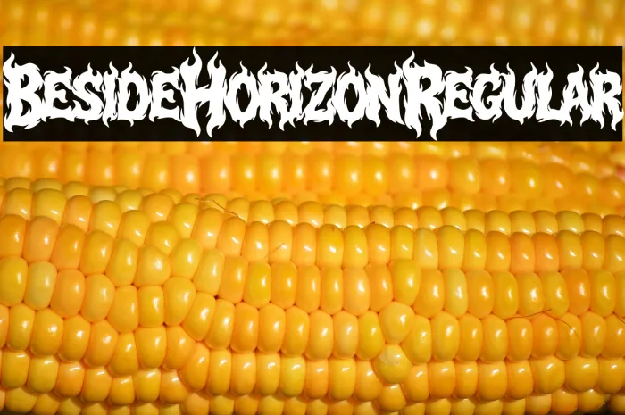Beside Horizon Regular Example 1