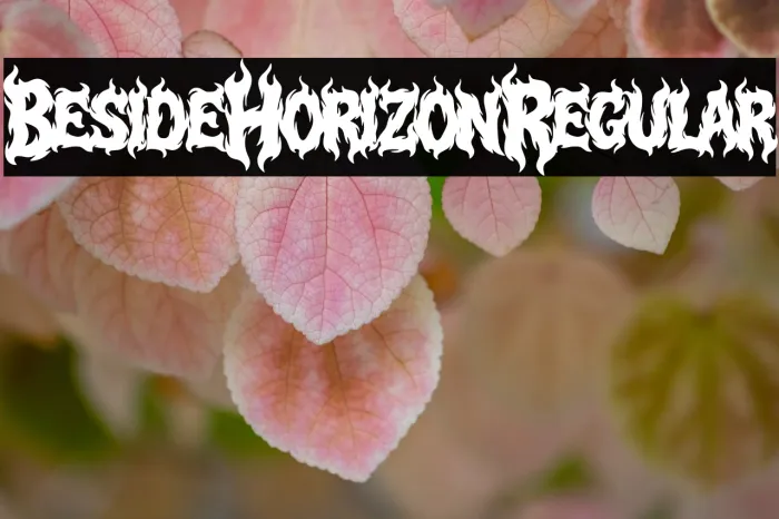 Beside Horizon Regular Example 2