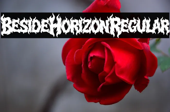 Beside Horizon Regular Example 3