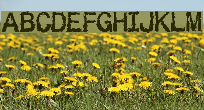 Besign Font examples
