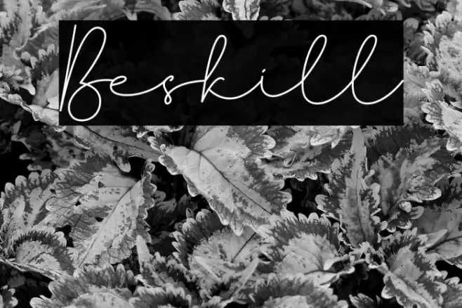 Beskill Font examples