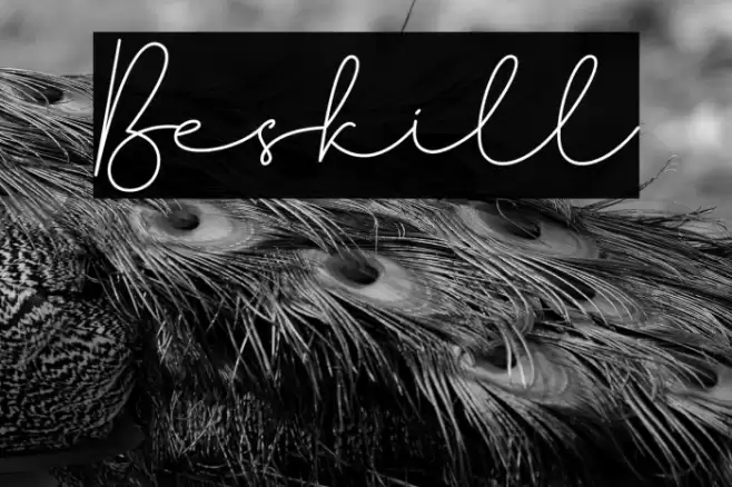 Beskill Font examples