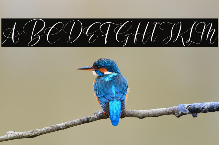 Beslatty Italic Example 2