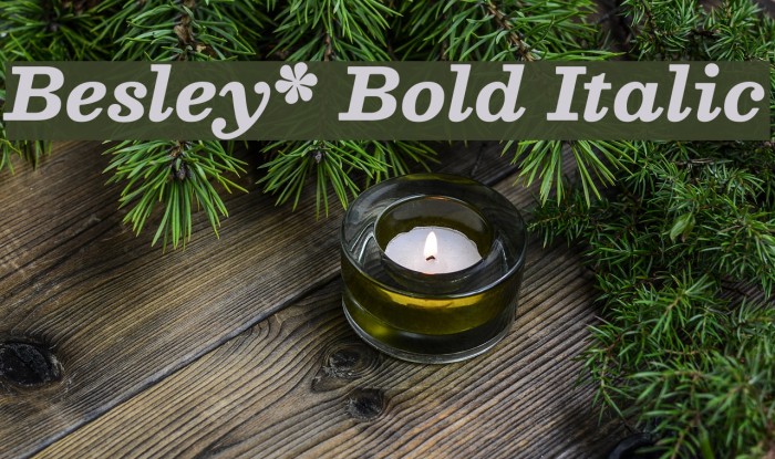 Besley* Bold Italic Font examples
