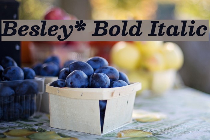 Besley* Bold Italic Font examples