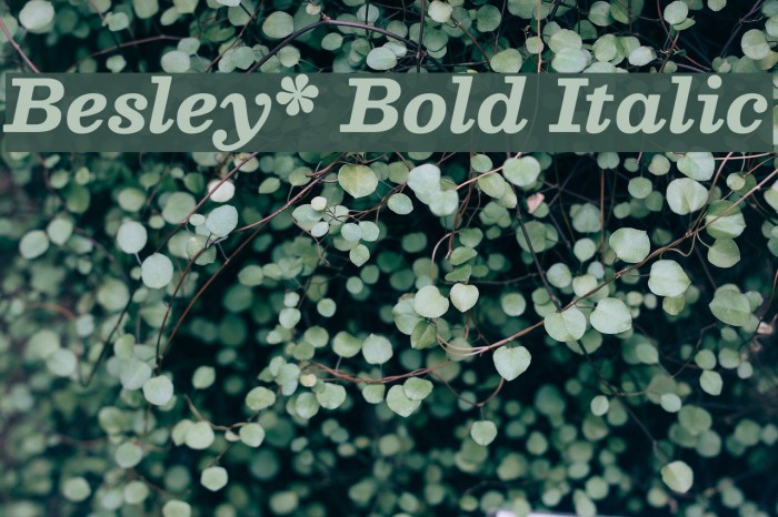 Besley* Bold Italic Font examples