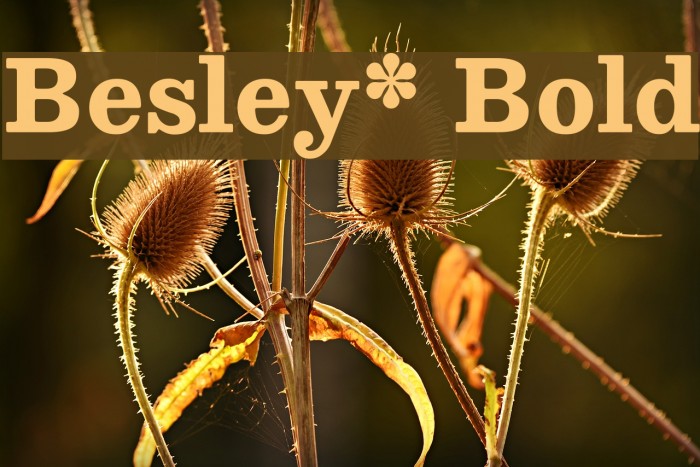 Besley* Bold Font examples