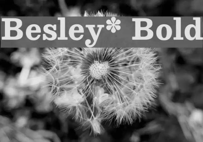 Besley* Bold Font examples