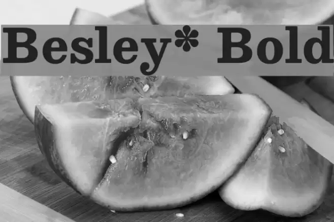 Besley* Bold Font examples
