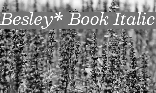 Besley* Book Italic Font examples